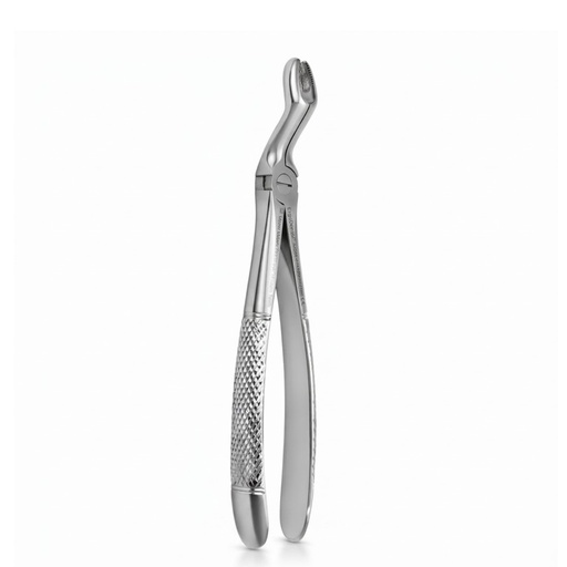 [5005-67A] Upper Molars for Upper Wisdom Teeth
