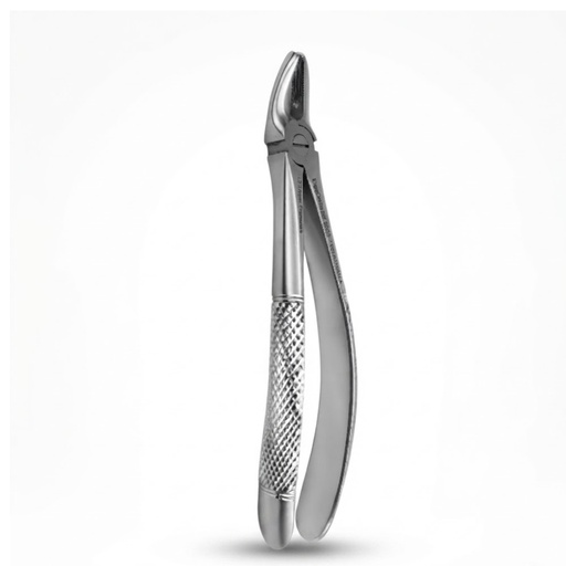 [5005-7] Upper Premolars