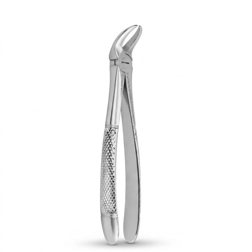 [5005-87] Lower Molars