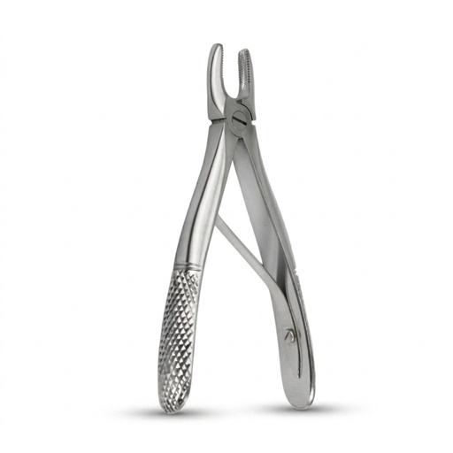 [5010-137] Fig. 137, Upper Incisors