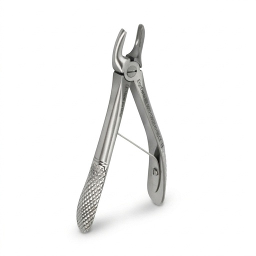 [5010-139] Fig. 139, Upper Pre Molars
