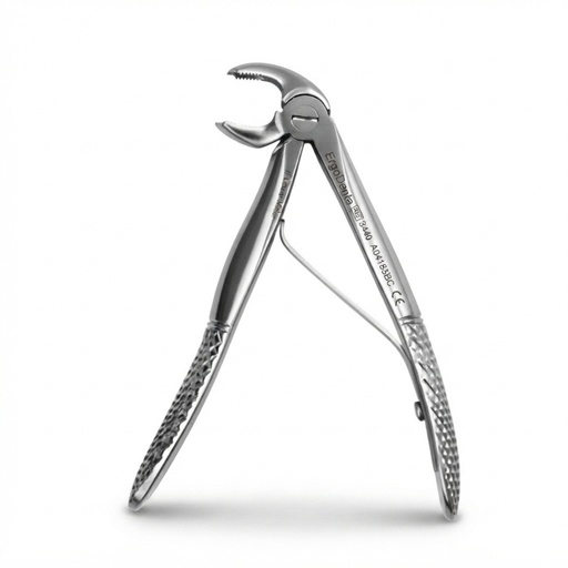 [5010-6] Fig. 6, Lower Molars