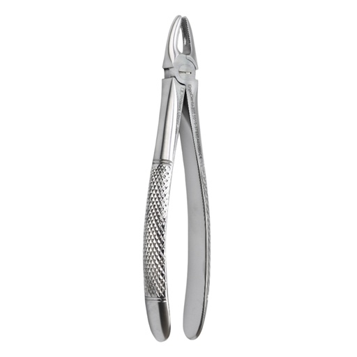 [5015-37] Fig. 37 Incisors, Upper Jaw