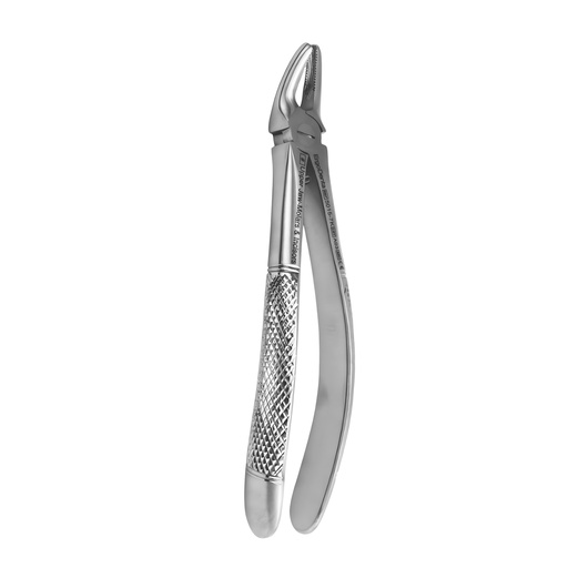 [5015-7K] Fig. 7K Upper Jaw Molars and Incisors