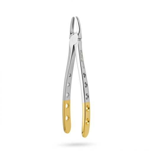 [5025-1] Upper Incisors and Molars