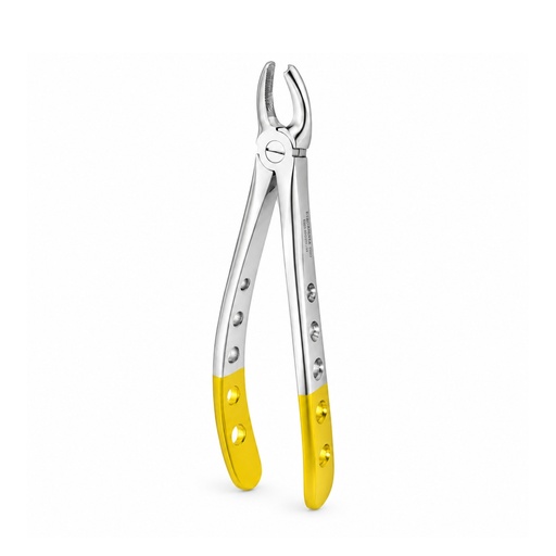 [5025-18] Upper Molars, Left