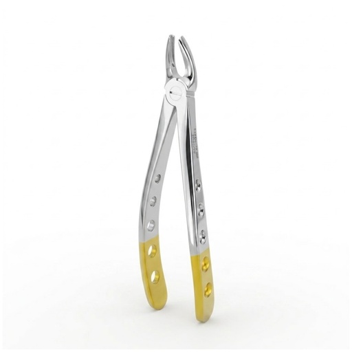 [5025-7] Upper Premolars