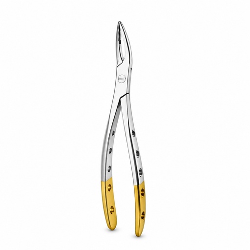 [5025-98] Witzel (Upper Roots)