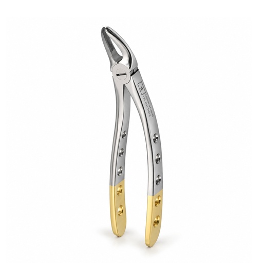[5025-99] Hertz (Lower Molars)