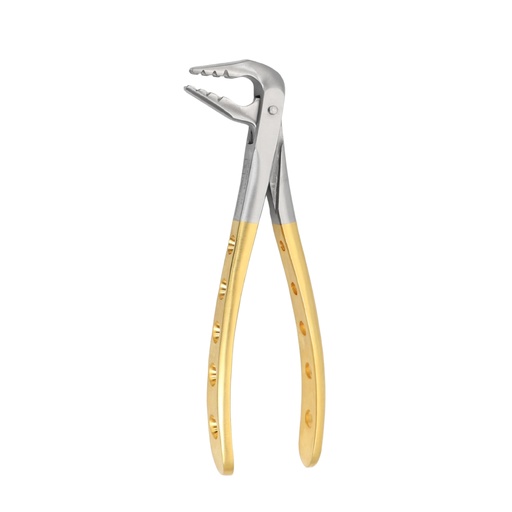 [5040-1251] Upper Spade Root