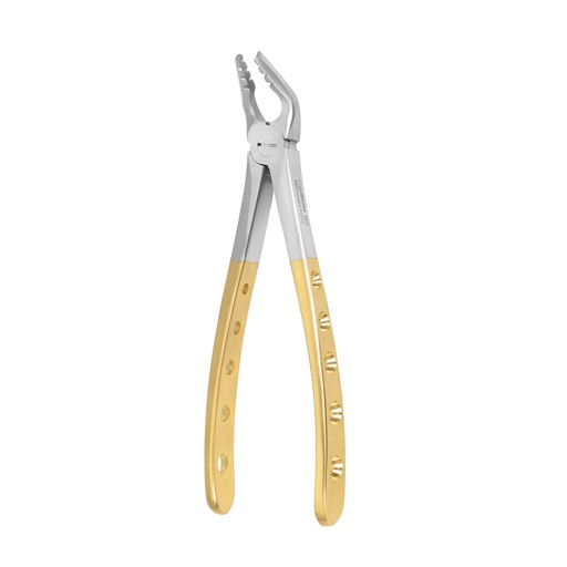 [5040-2076] Upper Molar