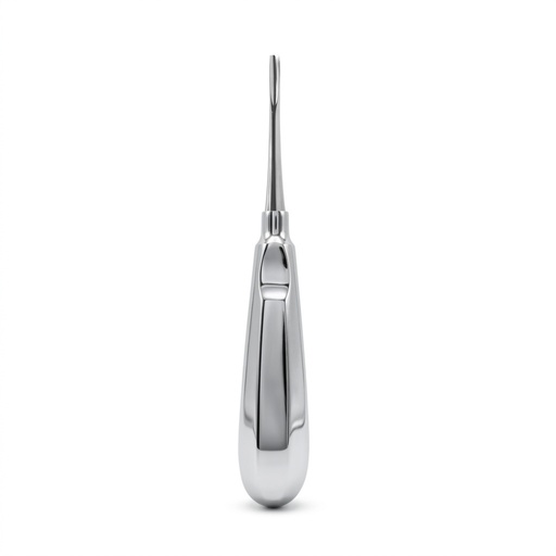 [6047-2] Bein Root Elevator, Straight, Fig. 2