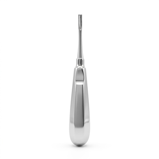 [6047-3] Bein Root Elevator, Straight, Fig. 3